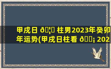 甲戌日 🦈 柱男2023年癸卯年运势(甲戌日柱看 🐡 2022年壬寅年运势)